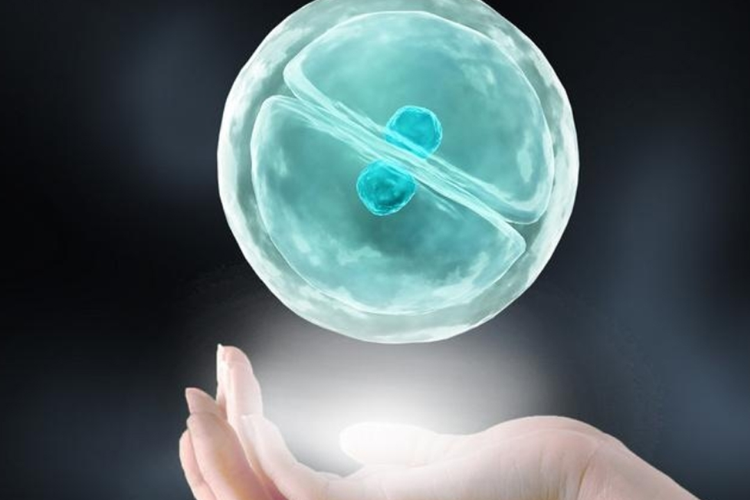 供卵宝宝满月脸上湿疹怎么办 供卵宝宝满月脸上湿疹怎么办